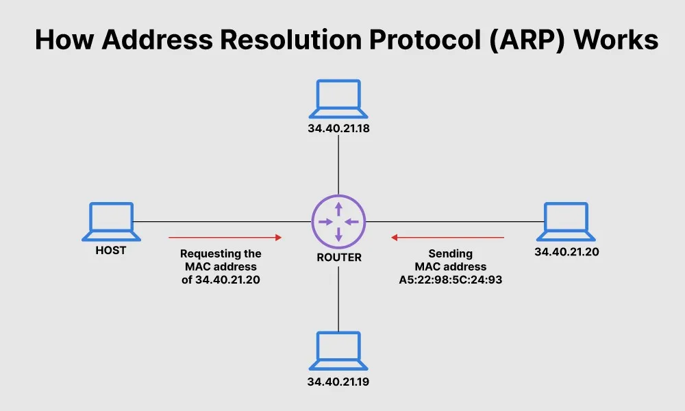 ARP Protocol