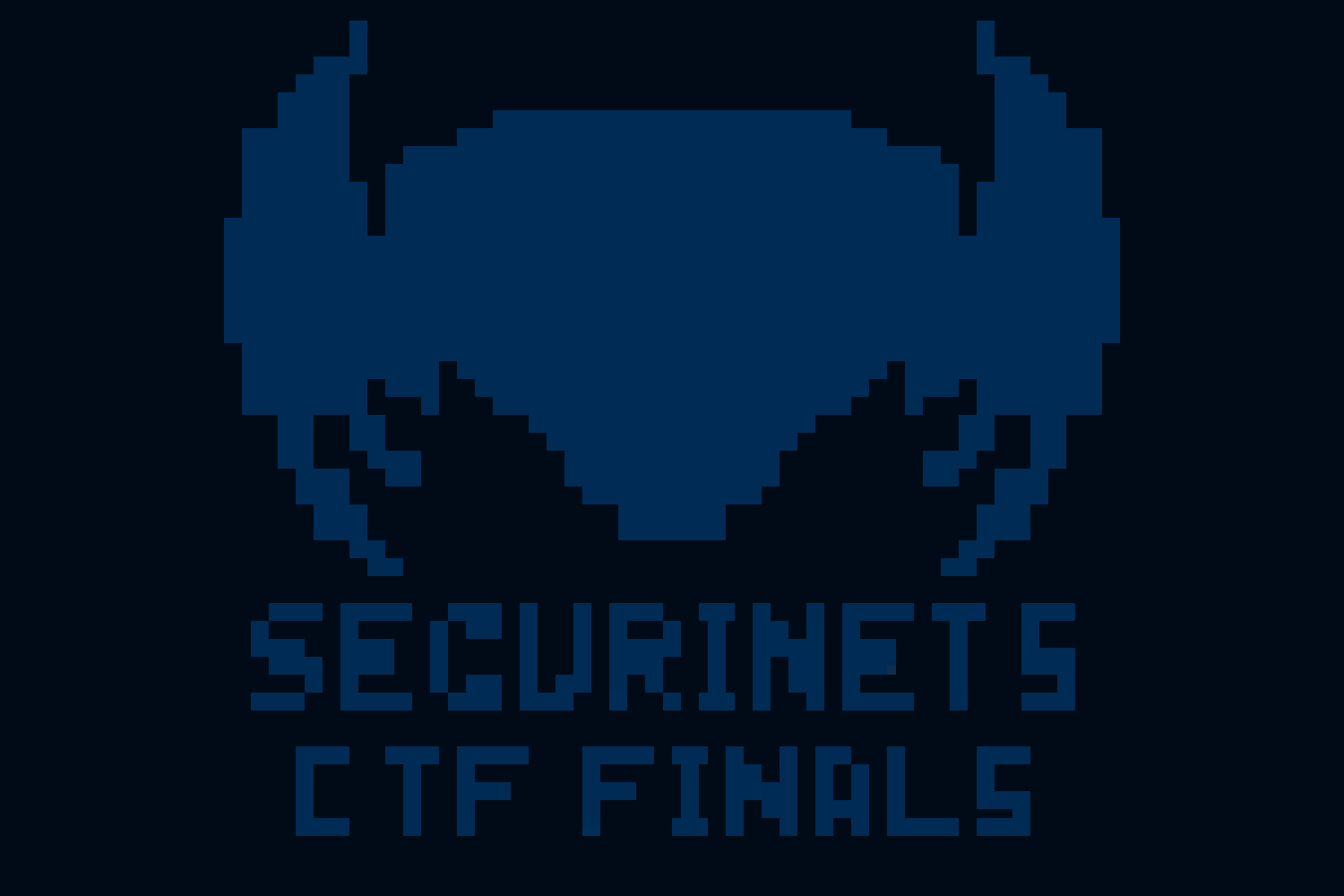 Securinets Finals 25 image